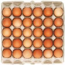 TOP-LAY/EGGSPURT Large Eggs